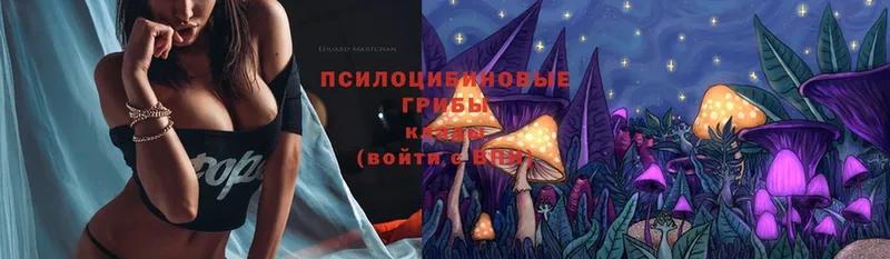 сколько стоит  Мамоново  Галлюциногенные грибы Magic Shrooms 